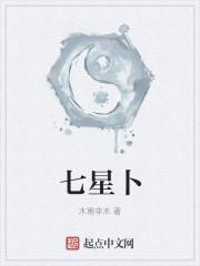 七星卜