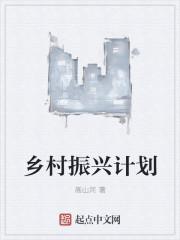 乡村振兴计划