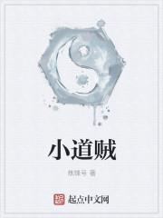 小道贼
