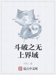 斗破之无上界域