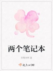 两个笔记本