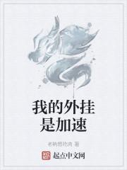 我的外挂是加速