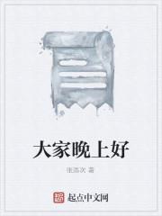 大家晚上好