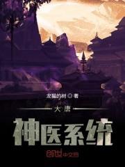 大唐神医系统