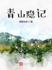 青山隐记