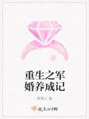 重生之良妻不善
