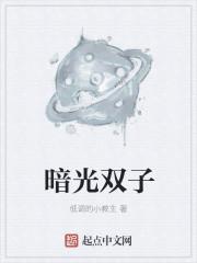 暗光双子