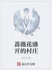 蔷薇花盛开的村庄