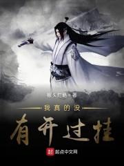 我真的没有开过挂