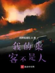 我的乘客不是人