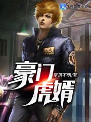 豪门虎婿