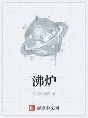 沸炉