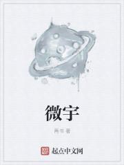 微宇