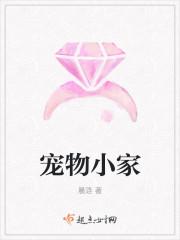 宠物小家