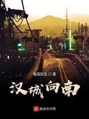 汉城向南