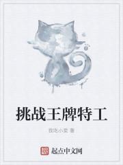挑战王牌特工