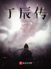 丁辰传