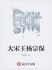 大宋王杨宗保