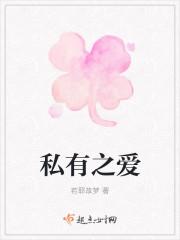 私有之爱