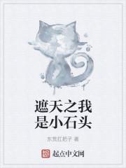 遮天之我是小石头