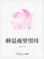 醉是夜里望川