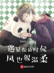 遇见你的时候,风也很温柔