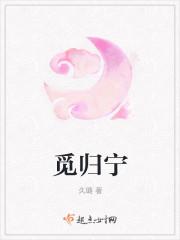 觅归宁