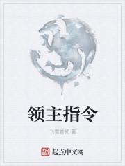 领主指令