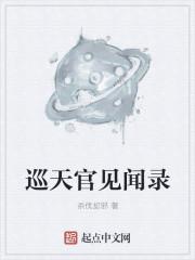 巡天官见闻录