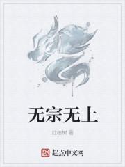 无宗无上