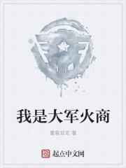 我是大军火商