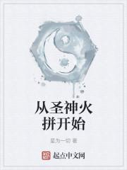 从圣神火拼开始