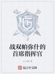 战双帕弥什的首席指挥官