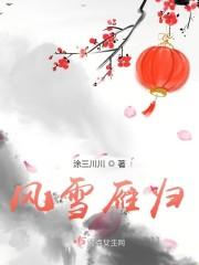 风雪雁归