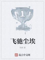飞驰尘埃