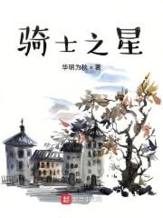 骑士之星