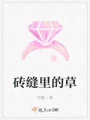 砖缝里的草