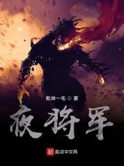 夜将军