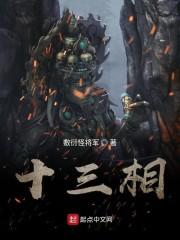 十三相