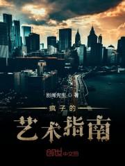 疯子的艺术指南