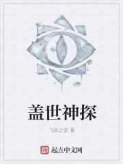 盖世神探