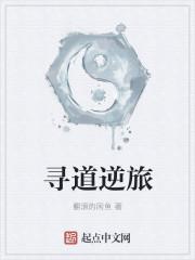 寻道逆旅