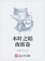 木叶之暗夜席卷