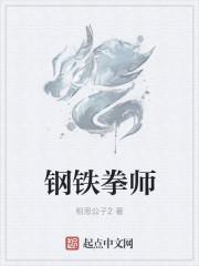 钢铁拳师