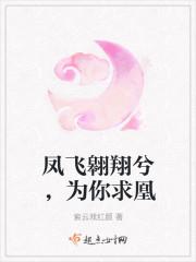 凤飞翱翔兮，为你求凰