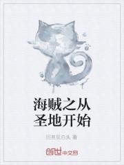 海贼之从圣地开始