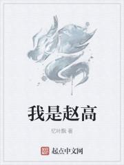 我是赵高