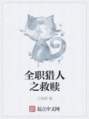 全职猎人之救赎
