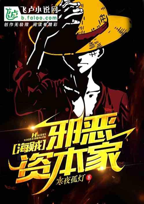 海贼:黑暗资本家