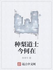 种梨道士今何在